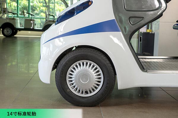 6座电动巡逻车
